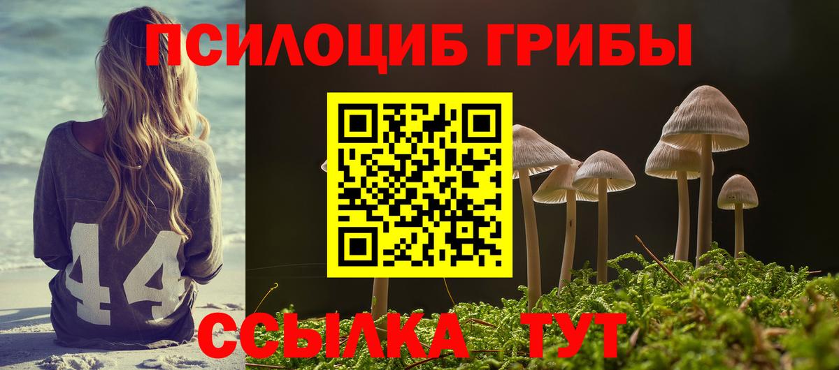 Псилоцибиновые грибы Psilocybine cubensis Новый Уренгой